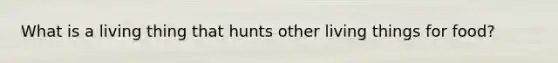 What is a living thing that hunts other living things for food?