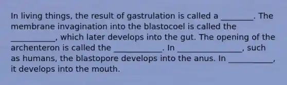 In living things, the result of gastrulation is called a ________. The membrane invagination into the blastocoel is called the ___________, which later develops into the gut. The opening of the archenteron is called the ____________. In ________________, such as humans, the blastopore develops into the anus. In ___________, it develops into the mouth.