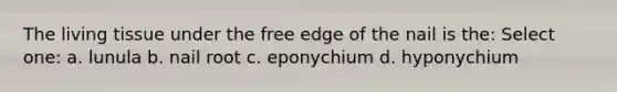 The living tissue under the free edge of the nail is the: Select one: a. lunula b. nail root c. eponychium d. hyponychium