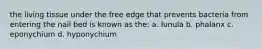 the living tissue under the free edge that prevents bacteria from entering the nail bed is known as the: a. lunula b. phalanx c. eponychium d. hyponychium