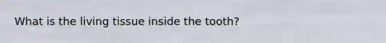 What is the living tissue inside the tooth?