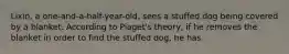 Lixin, a one-and-a-half-year-old, sees a stuffed dog being covered by a blanket. According to Piaget's theory, if he removes the blanket in order to find the stuffed dog, he has