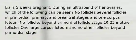 Liz is 5 weeks pregnant. During an ultrasound of her ovaries, which of the following can be seen? No follicles Several follicles in primordial, primary, and preantral stages and one corpus luteum No follicles beyond primordial follicle stage 10-25 mature follicles One large corpus luteum and no other follicles beyond primordial stage