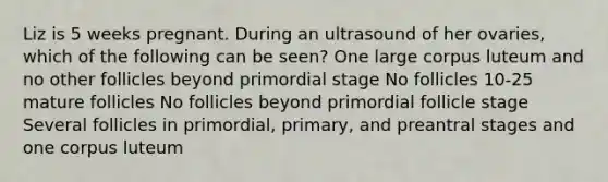 Liz is 5 weeks pregnant. During an ultrasound of her ovaries, which of the following can be seen? One large corpus luteum and no other follicles beyond primordial stage No follicles 10-25 mature follicles No follicles beyond primordial follicle stage Several follicles in primordial, primary, and preantral stages and one corpus luteum