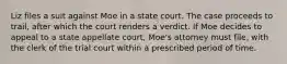 Liz files a suit against Moe in a state court. The case proceeds to trail, after which the court renders a verdict. If Moe decides to appeal to a state appellate court, Moe's attorney must file, with the clerk of the trial court within a prescribed period of time.