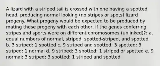 A lizard with a striped tail is crossed with one having a spotted head, producing normal looking (no stripes or spots) lizard progeny. What progeny would be expected to be produced by mating these progeny with each other, if the genes conferring stripes and sports were on different chromosomes (unlinked)?: a. equal numbers of normal, striped, spotted-striped, and spotted b. 3 striped: 1 spotted c. 9 striped and spotted: 3 spotted: 3 striped: 1 normal d. 9 striped: 3 spotted: 1 striped or spotted e. 9 normal: 3 striped: 3 spotted: 1 striped and spotted