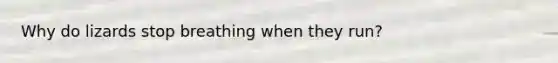 Why do lizards stop breathing when they run?