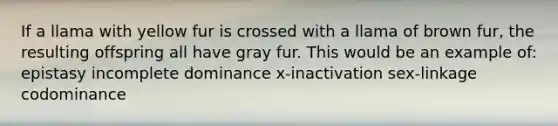 If a llama with yellow fur is crossed with a llama of brown fur, the resulting offspring all have gray fur. This would be an example of: epistasy incomplete dominance x-inactivation sex-linkage codominance