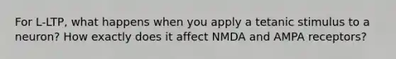 For L-LTP, what happens when you apply a tetanic stimulus to a neuron? How exactly does it affect NMDA and AMPA receptors?