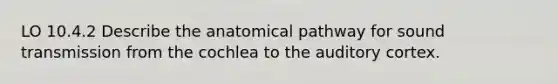 LO 10.4.2 Describe the anatomical pathway for sound transmission from the cochlea to the auditory cortex.