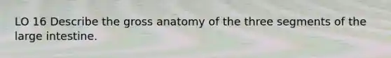 LO 16 Describe the gross anatomy of the three segments of the large intestine.