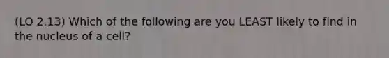 (LO 2.13) Which of the following are you LEAST likely to find in the nucleus of a cell?