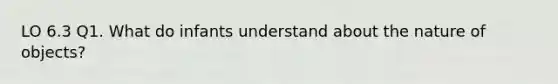 LO 6.3 Q1. What do infants understand about the nature of objects?