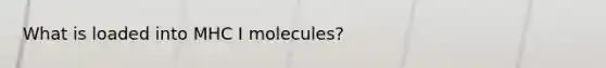 What is loaded into MHC I molecules?