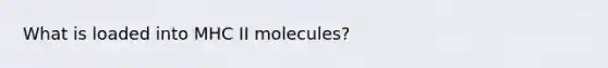 What is loaded into MHC II molecules?