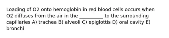 Loading of O2 onto hemoglobin in red blood cells occurs when O2 diffuses from the air in the __________ to the surrounding capillaries A) trachea B) alveoli C) epiglottis D) oral cavity E) bronchi