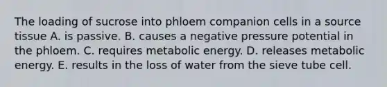 The loading of sucrose into phloem companion cells in a source tissue A. is passive. B. causes a negative pressure potential in the phloem. C. requires metabolic energy. D. releases metabolic energy. E. results in the loss of water from the sieve tube cell.