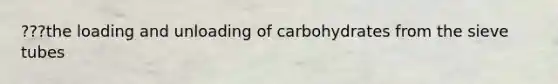 ???the loading and unloading of carbohydrates from the sieve tubes