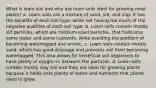 What is loam soil and why are loam soils ideal for growing most plants? a. Loam soils are a mixture of sand, silt, and clay. It has the benefits of each soil type, while not having too much of the negative qualities of each soil type. b. Loam soils contain mostly silt particles, which are medium-sized particles, that hold onto some water and some nutrients, while avoiding the problem of becoming waterlogged and anoxic. c. Loam soils contain mostly sand, which has good drainage and prevents soil from becoming waterlogged. This also allows for beneficial soil organisms to have plenty of oxygen in between the particles. d. Loam soils contain mostly clay soil and they are ideal for growing plants because it holds onto plenty of water and nutrients that plants need to grow.