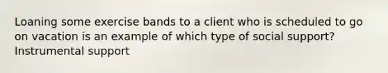 Loaning some exercise bands to a client who is scheduled to go on vacation is an example of which type of social support? Instrumental support