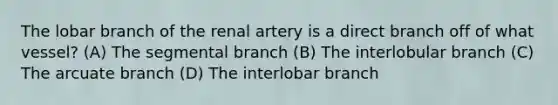 The lobar branch of the renal artery is a direct branch off of what vessel? (A) The segmental branch (B) The interlobular branch (C) The arcuate branch (D) The interlobar branch