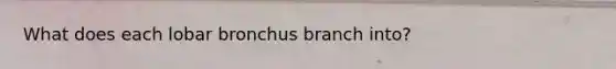 What does each lobar bronchus branch into?