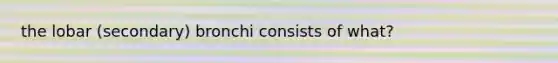 the lobar (secondary) bronchi consists of what?