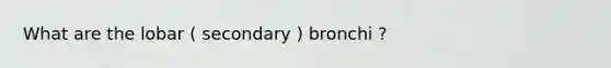 What are the lobar ( secondary ) bronchi ?