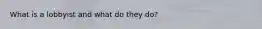 What is a lobbyist and what do they do?