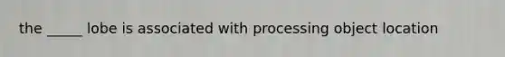 the _____ lobe is associated with processing object location