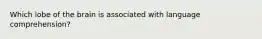 Which lobe of the brain is associated with language comprehension?