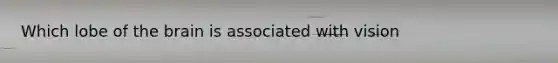 Which lobe of the brain is associated with vision