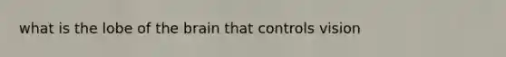 what is the lobe of the brain that controls vision