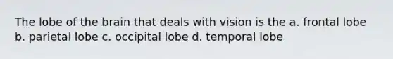 The lobe of the brain that deals with vision is the a. frontal lobe b. parietal lobe c. occipital lobe d. temporal lobe