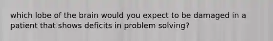 which lobe of the brain would you expect to be damaged in a patient that shows deficits in problem solving?