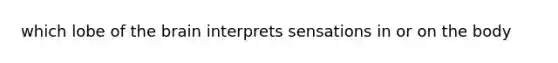 which lobe of the brain interprets sensations in or on the body