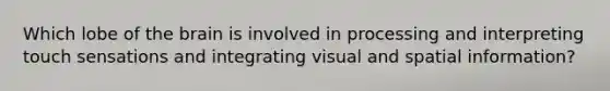 Which lobe of the brain is involved in processing and interpreting touch sensations and integrating visual and spatial information?