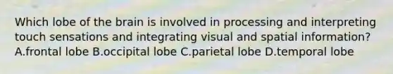 Which lobe of the brain is involved in processing and interpreting touch sensations and integrating visual and spatial information? A.frontal lobe B.occipital lobe C.parietal lobe D.temporal lobe