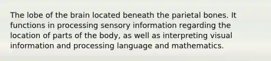 The lobe of the brain located beneath the parietal bones. It functions in processing sensory information regarding the location of parts of the body, as well as interpreting visual information and processing language and mathematics.