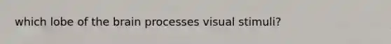 which lobe of the brain processes visual stimuli?