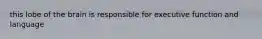 this lobe of the brain is responsible for executive function and language