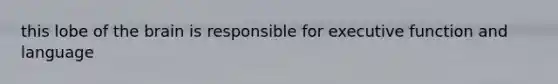 this lobe of <a href='https://www.questionai.com/knowledge/kLMtJeqKp6-the-brain' class='anchor-knowledge'>the brain</a> is responsible for executive function and language
