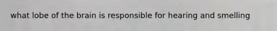 what lobe of the brain is responsible for hearing and smelling