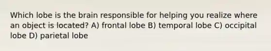 Which lobe is the brain responsible for helping you realize where an object is located? A) frontal lobe B) temporal lobe C) occipital lobe D) parietal lobe