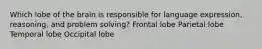 Which lobe of the brain is responsible for language expression, reasoning, and problem solving? Frontal lobe Parietal lobe Temporal lobe Occipital lobe