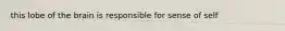 this lobe of the brain is responsible for sense of self