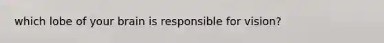which lobe of your brain is responsible for vision?