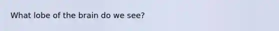 What lobe of the brain do we see?