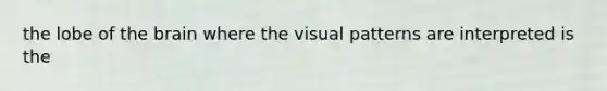 the lobe of the brain where the visual patterns are interpreted is the