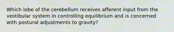 Which lobe of the cerebellum receives afferent input from the vestibular system in controlling equilibrium and is concerned with postural adjustments to gravity?